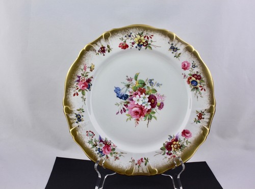 Hammersley lady patricia - hammersley,